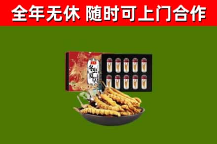 双桥区烟酒回收冬虫夏草礼盒.jpg